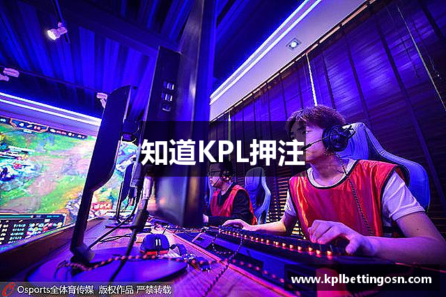 KPL押注(中国)官方网站-kpl竞猜，投注